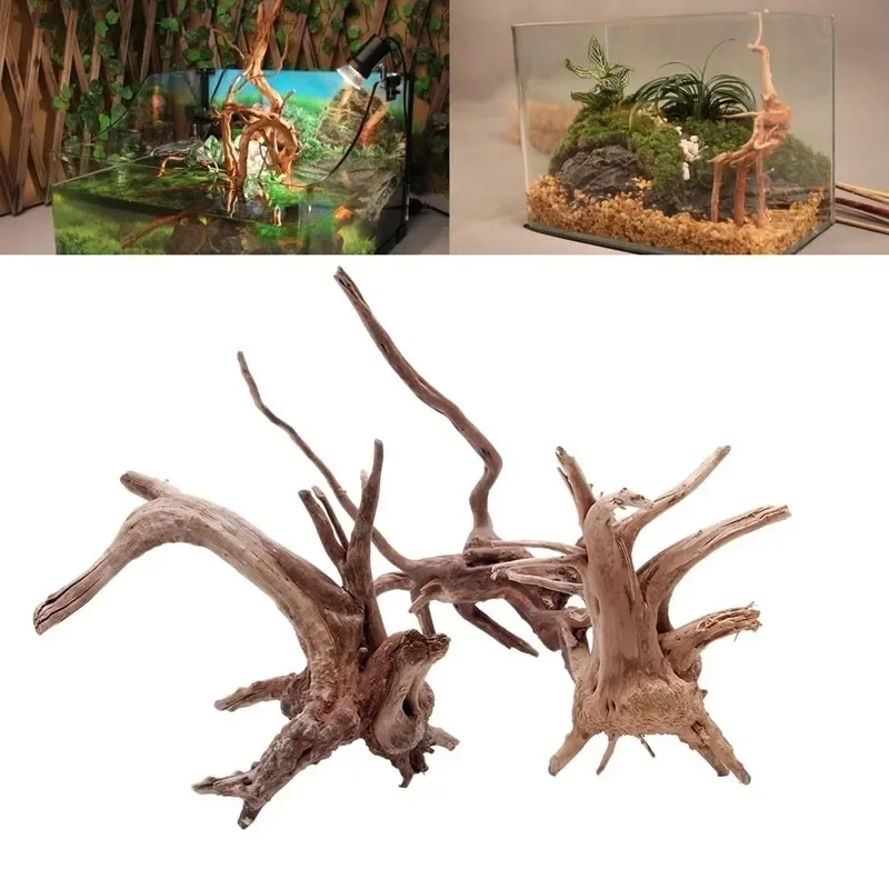 Aquarium Plant Live - Naturalne drzewo pnia Driftwood akwarium korzenie