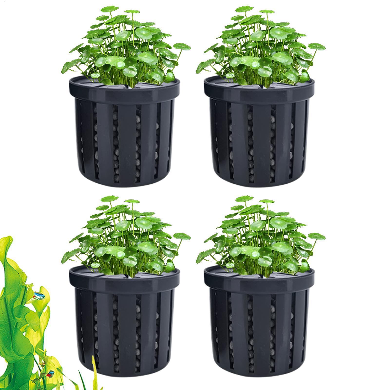 Aquarium Plant Live - 4 sztuki doniczek do akwarium z