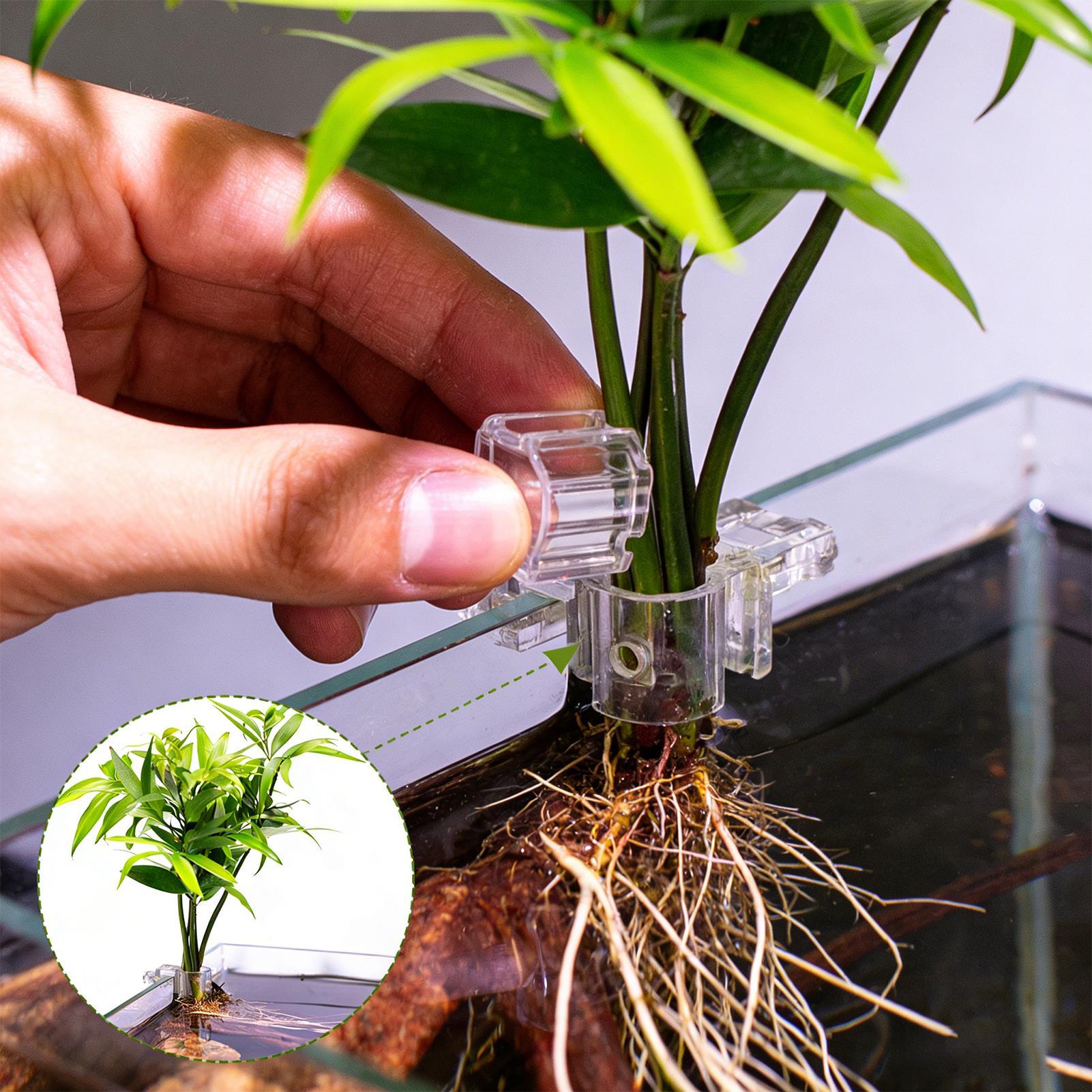 Aquarium Plant Live - 6 szt. Przezroczyste uchwyty do roślin