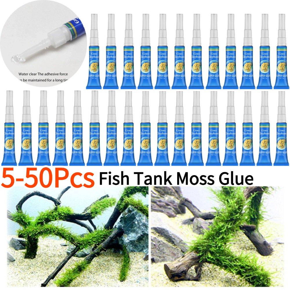 Aquarium Plant Glue - 50-5 sztuk akwarium krajobrazu mech klej