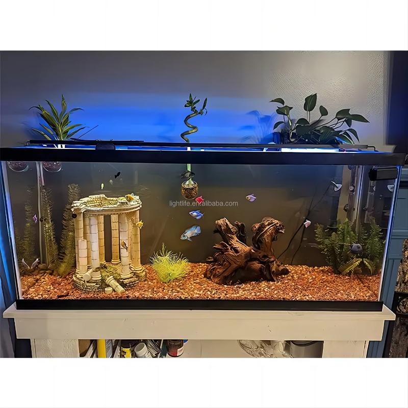 Wodoodporna lampa LED do akwar – Planted Aquarium Cycling recenzja i cena