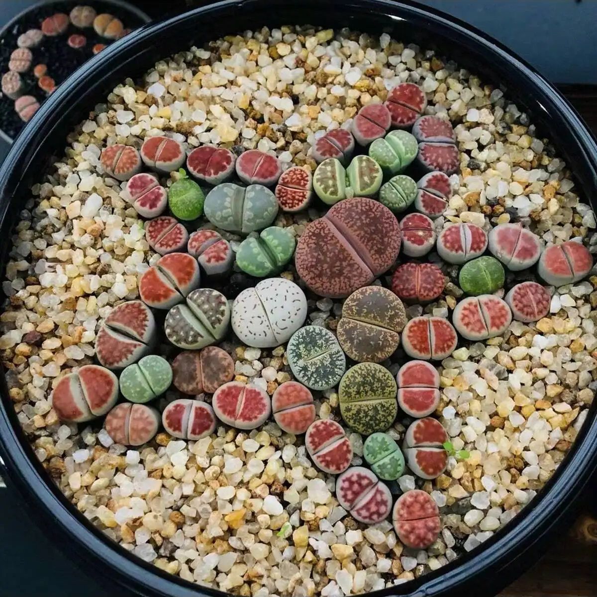 1szt-250g Naturalne kryształy  – Aquarium Plant Gravel recenzja i cena