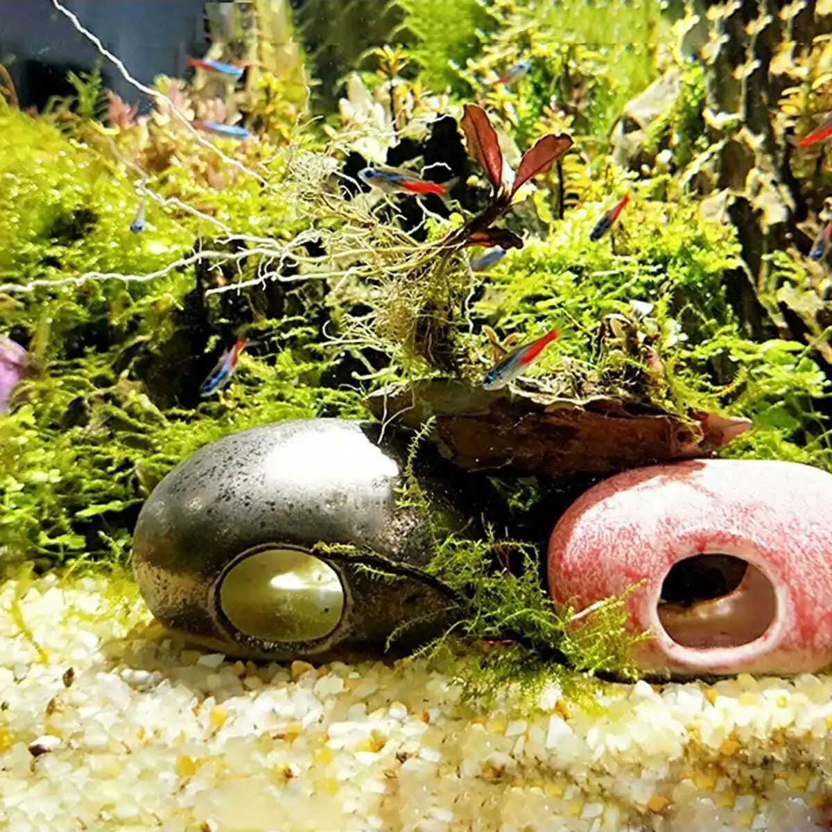 1szt-250g Naturalne kryształy  – Aquarium Plant Gravel recenzja i cena
