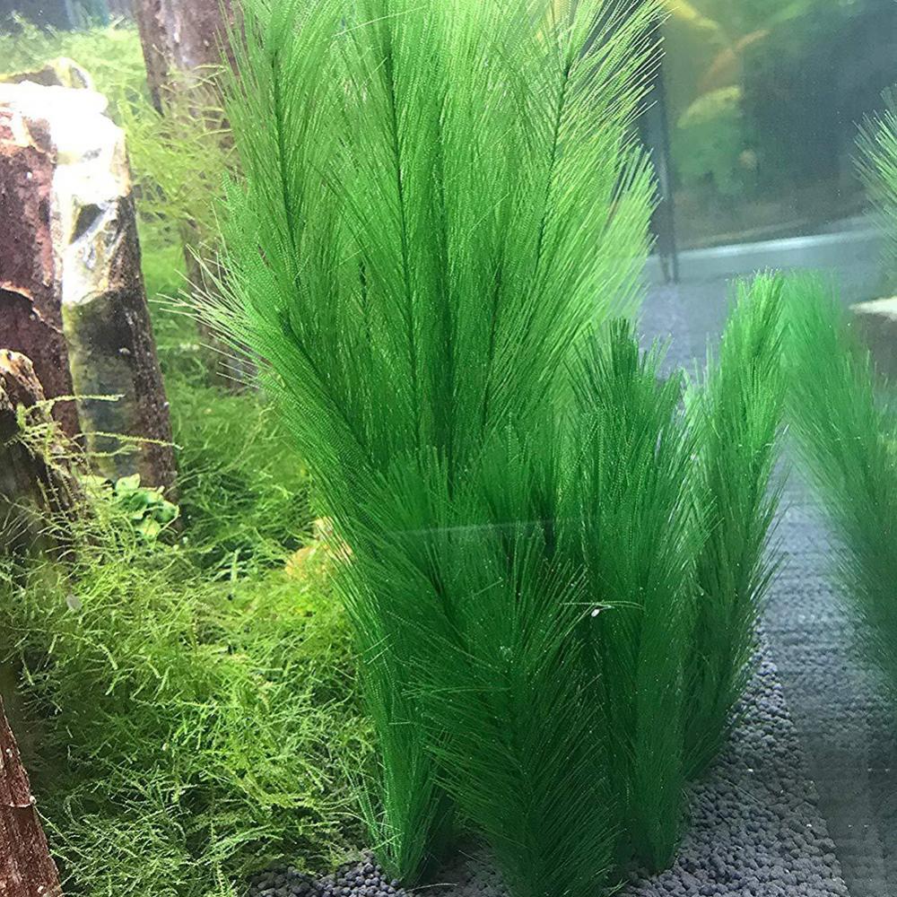 1/3 sztuk 28/40cm akwarium akw – Aquarium Plant Live recenzja i cena