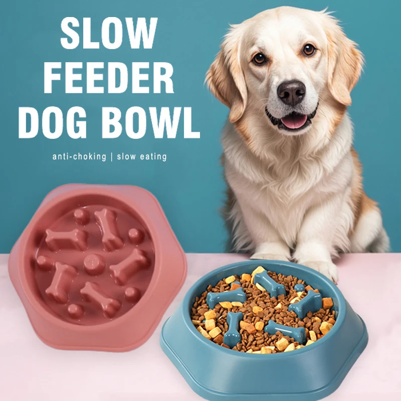 Nowa miska spowalniająca jedze – Royal Canin Food Medium recenzja i cena