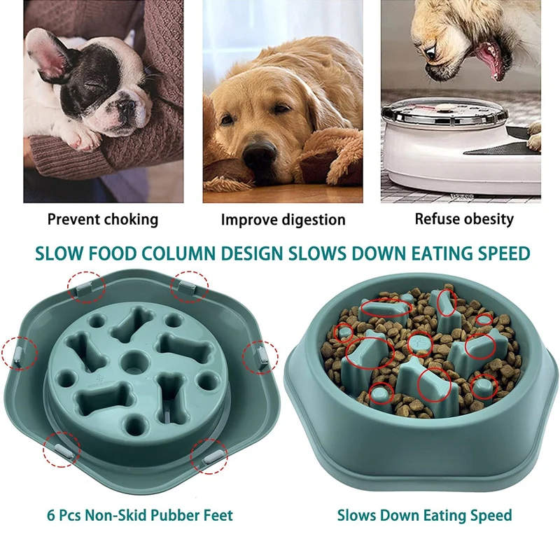 Nowa miska spowalniająca jedze – Royal Canin Food Medium recenzja i cena