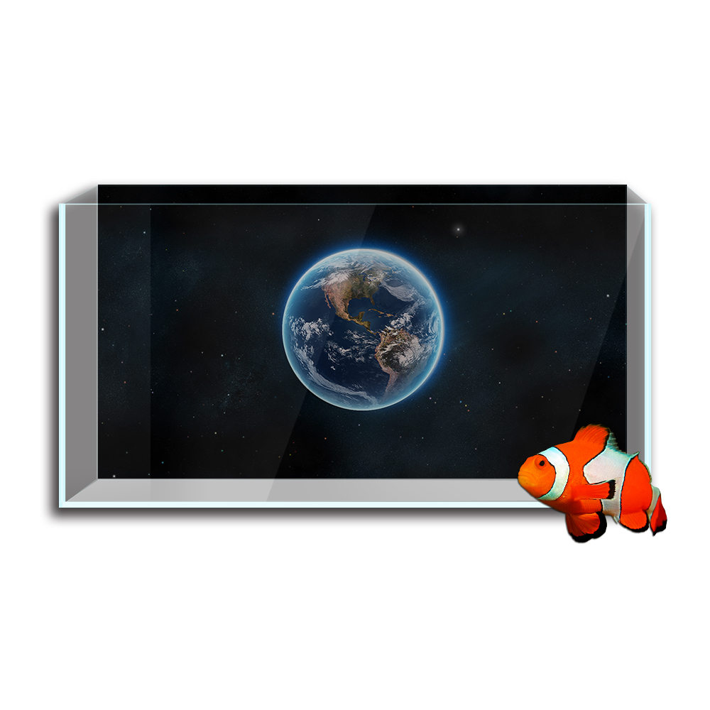 Naklejka w tle akwarium, plane – Aquarium Planet recenzja i cena