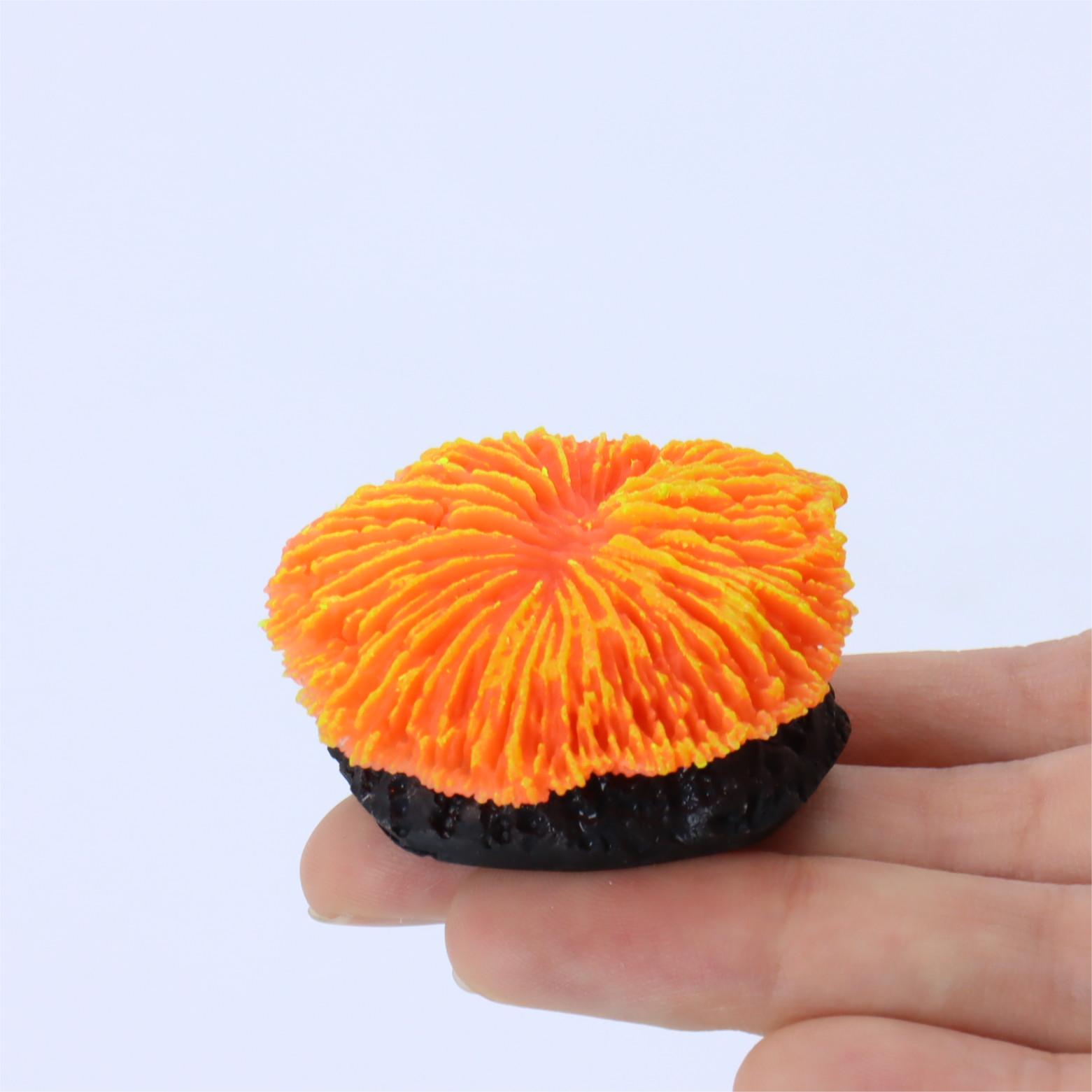 1 piece aquarium decoration sa – Aquarium Planet recenzja i cena
