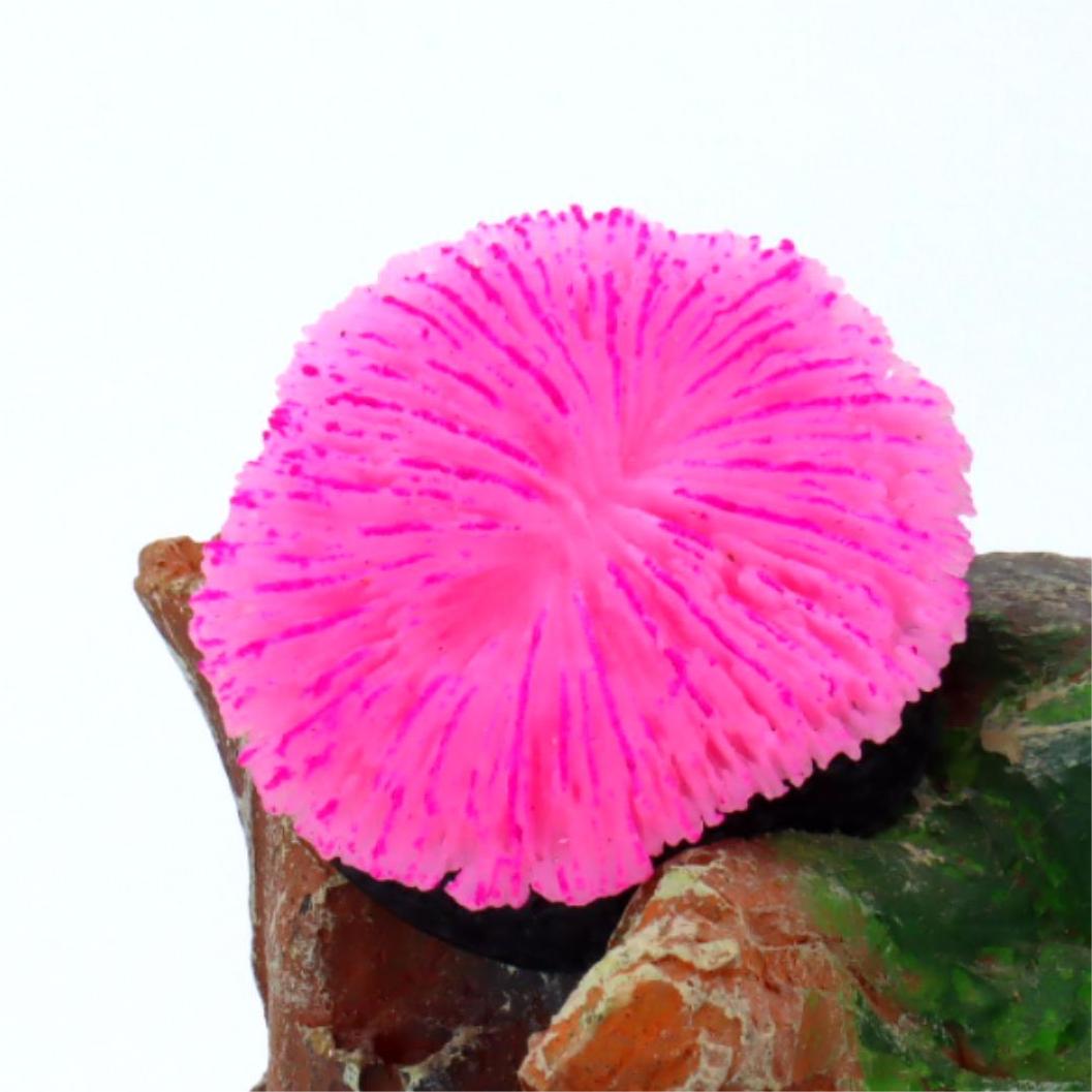 1 piece aquarium decoration sa – Aquarium Planet recenzja i cena