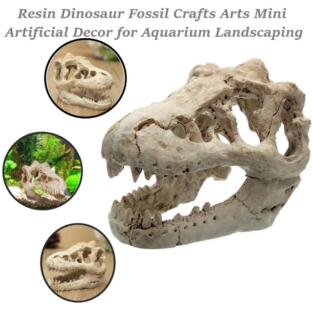 Model Foszylny Dinozaura Akwar – Aquarium Zombie recenzja i cena