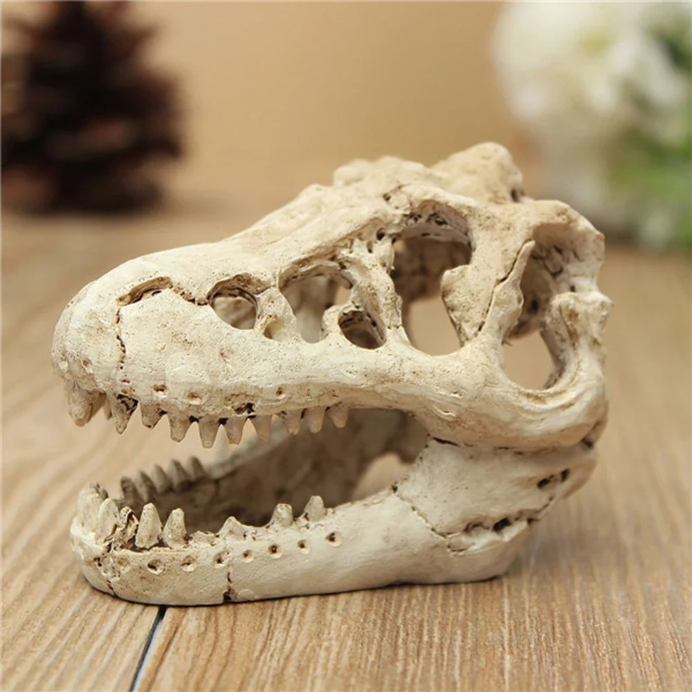 Model Foszylny Dinozaura Akwar – Aquarium Zombie recenzja i cena