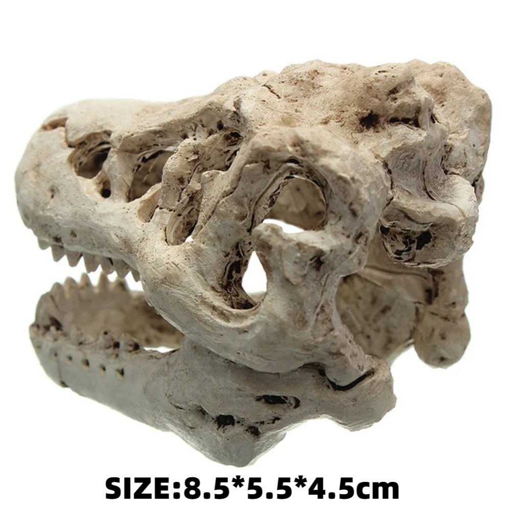 Model Foszylny Dinozaura Akwar – Aquarium Zombie recenzja i cena