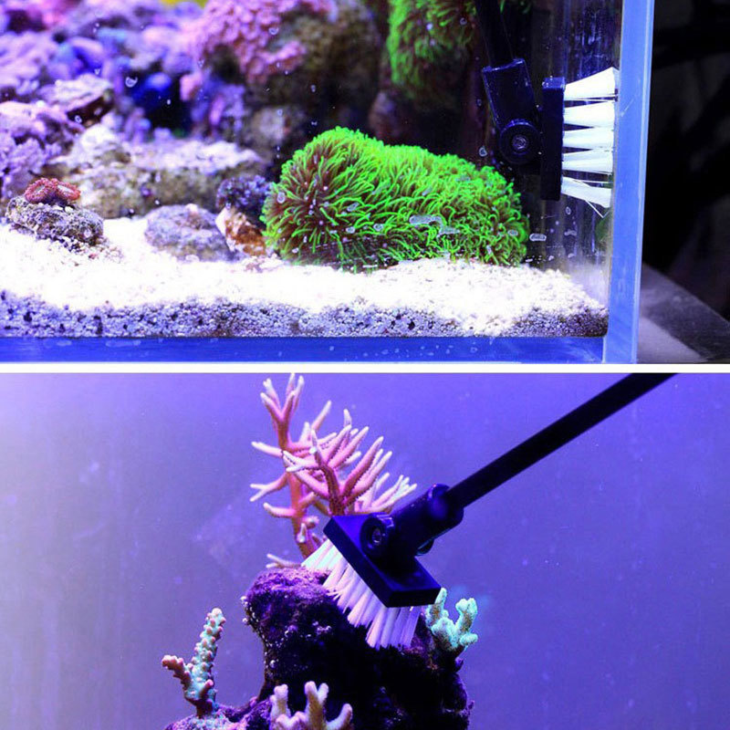 Szczotka do czyszczenia akwari – Planted Aquarium Freshwater recenzja i cena