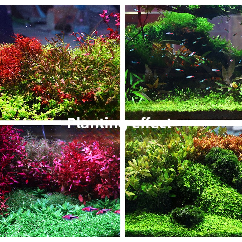 SYSENCIAGA Substrat do akwariu – Aquarium Plant Gravel recenzja i cena