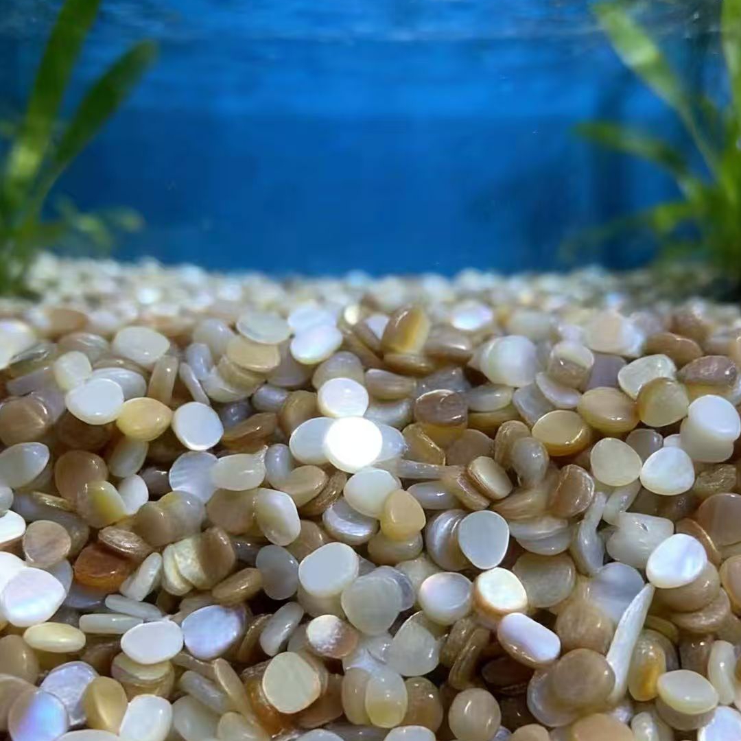 50 szt. 4-7mm Niedziurzone Nat – Aquarium Sand White recenzja i cena