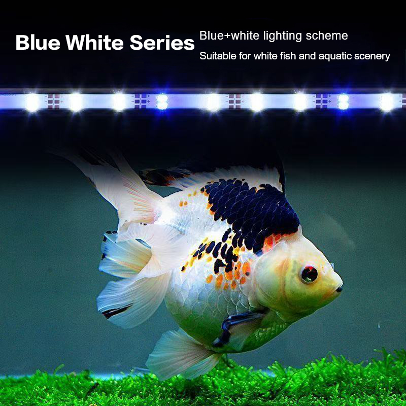 Lampa akwariowa LED z wtyczką  – Aquarium Plant Iron recenzja i cena