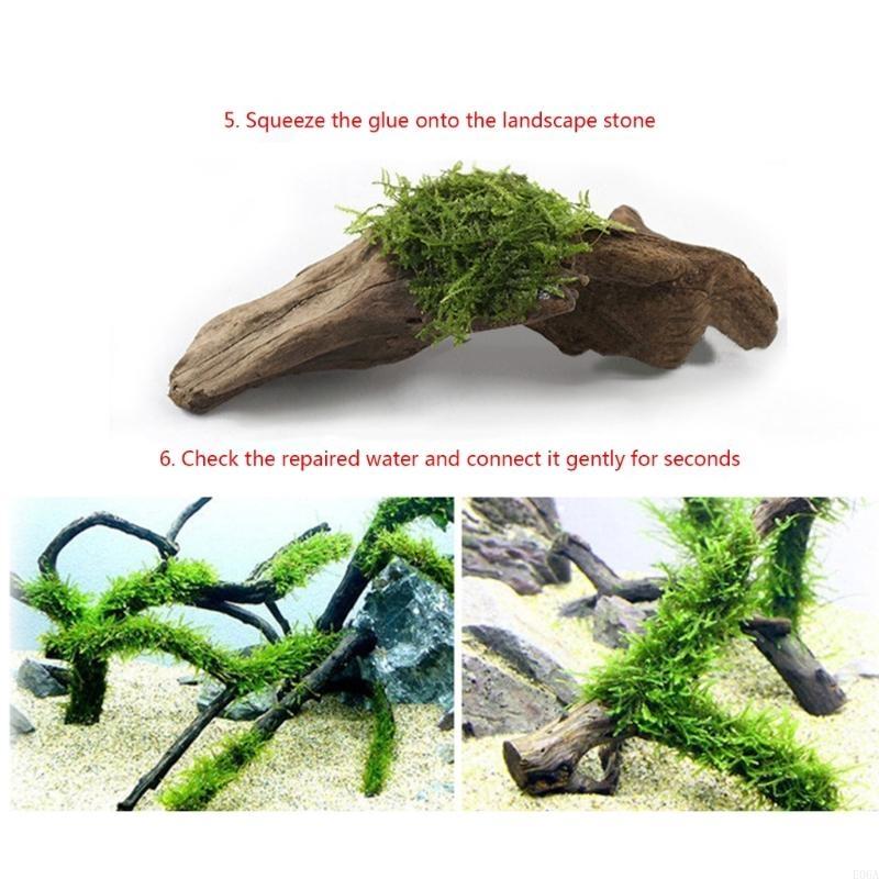 25 szt. roślin do akwarium do  – Aquarium Plant Glue recenzja i cena