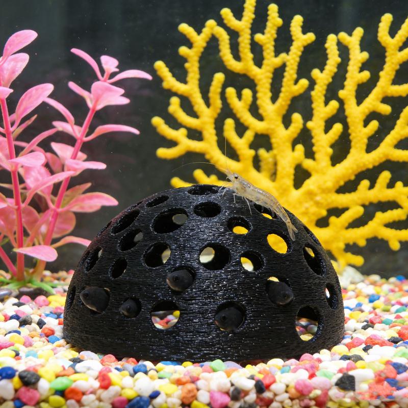 Akwarium Ukryta Jaskinia Schro – Aquarium Plant Live recenzja i cena
