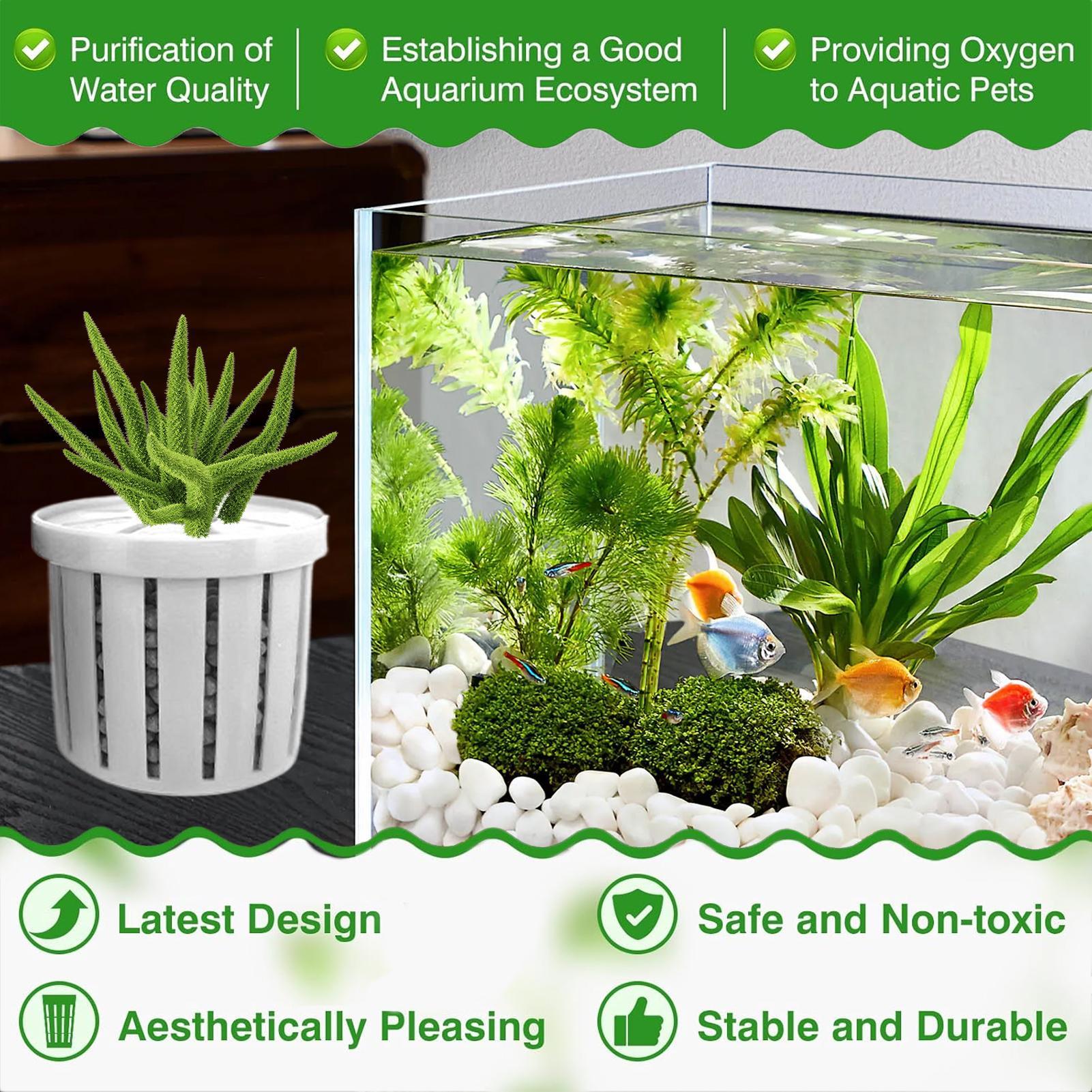 4 sztuki doniczek do akwarium  – Aquarium Plant Live recenzja i cena