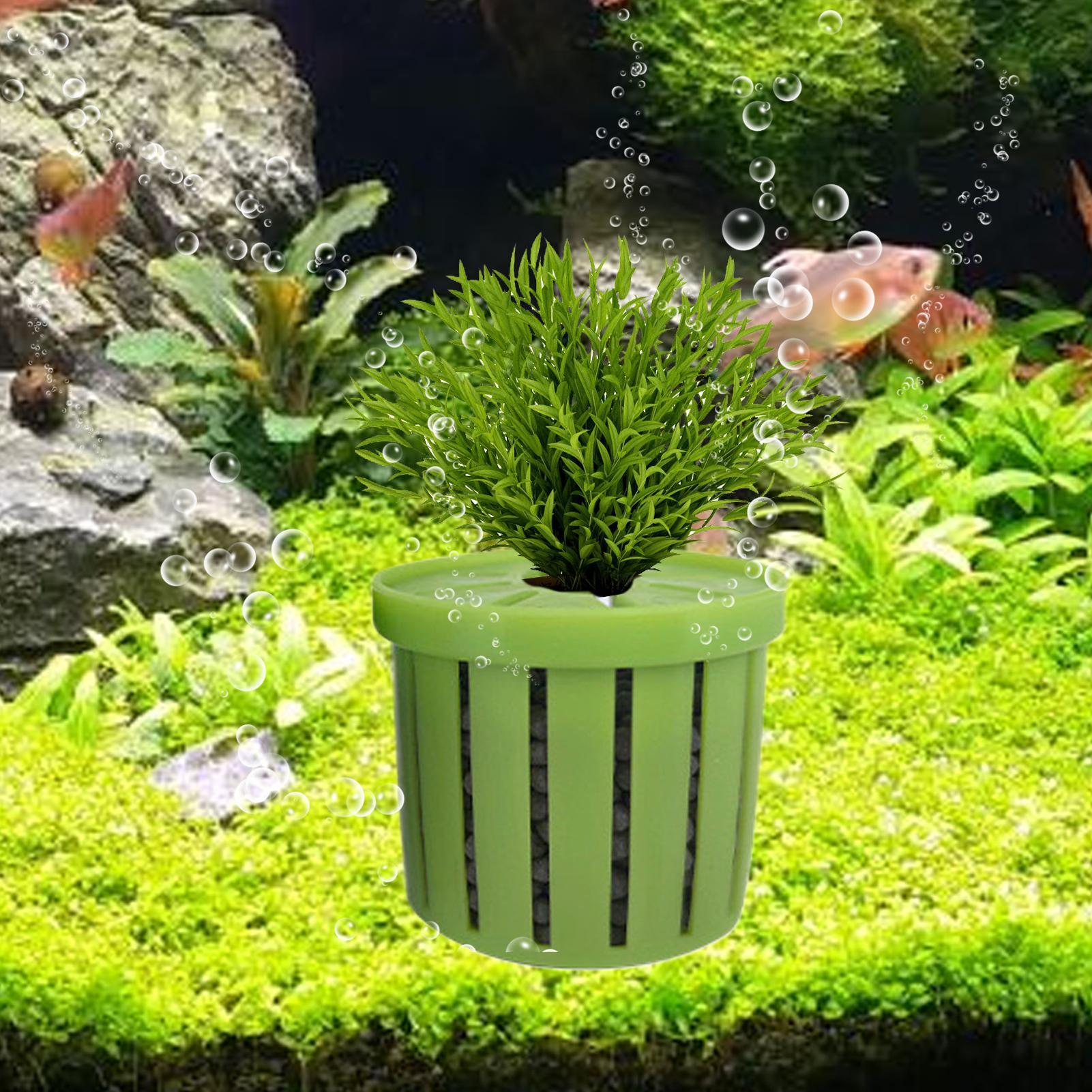 4 sztuki doniczek do akwarium  – Aquarium Plant Live recenzja i cena