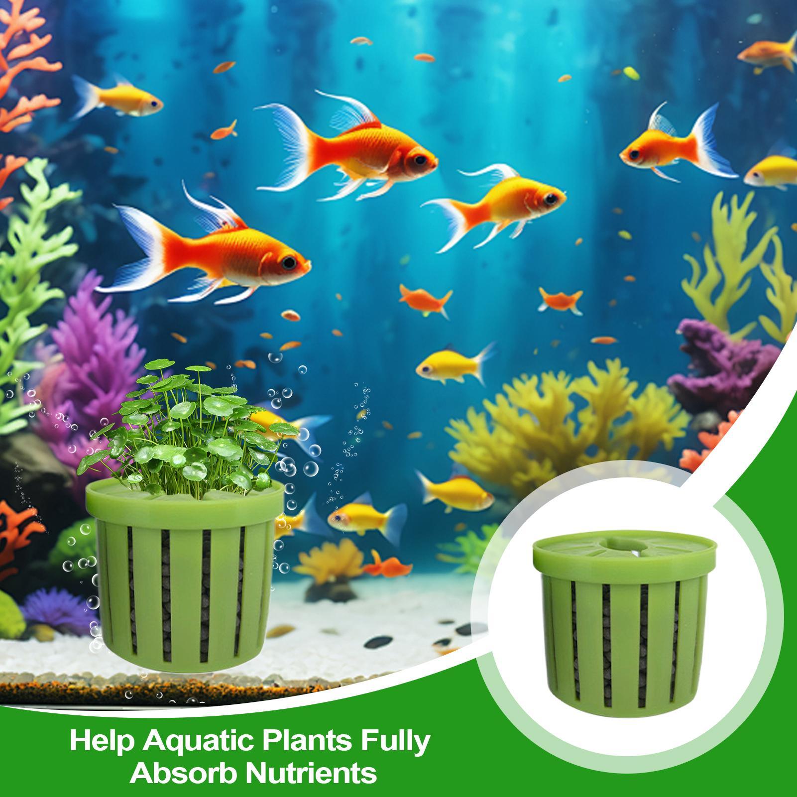 4 sztuki doniczek do akwarium  – Aquarium Plant Live recenzja i cena