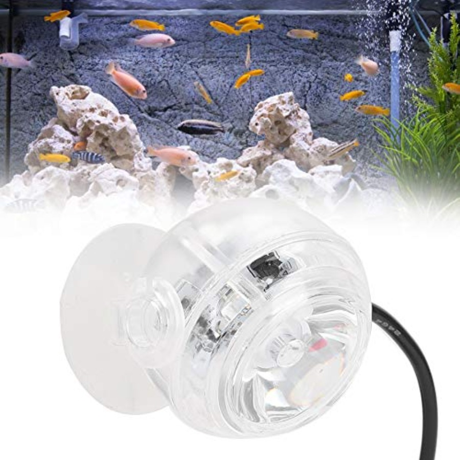 Lampa LED do akwarium roślinne – Planted Aquarium Cycling recenzja i cena