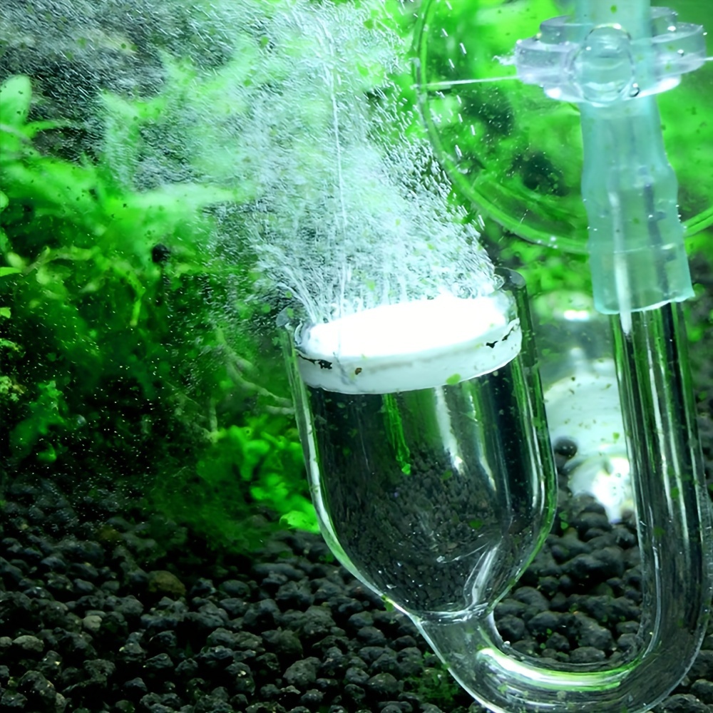Szklany atomizer CO2 do akwari – Planted Aquarium Co2 recenzja i cena