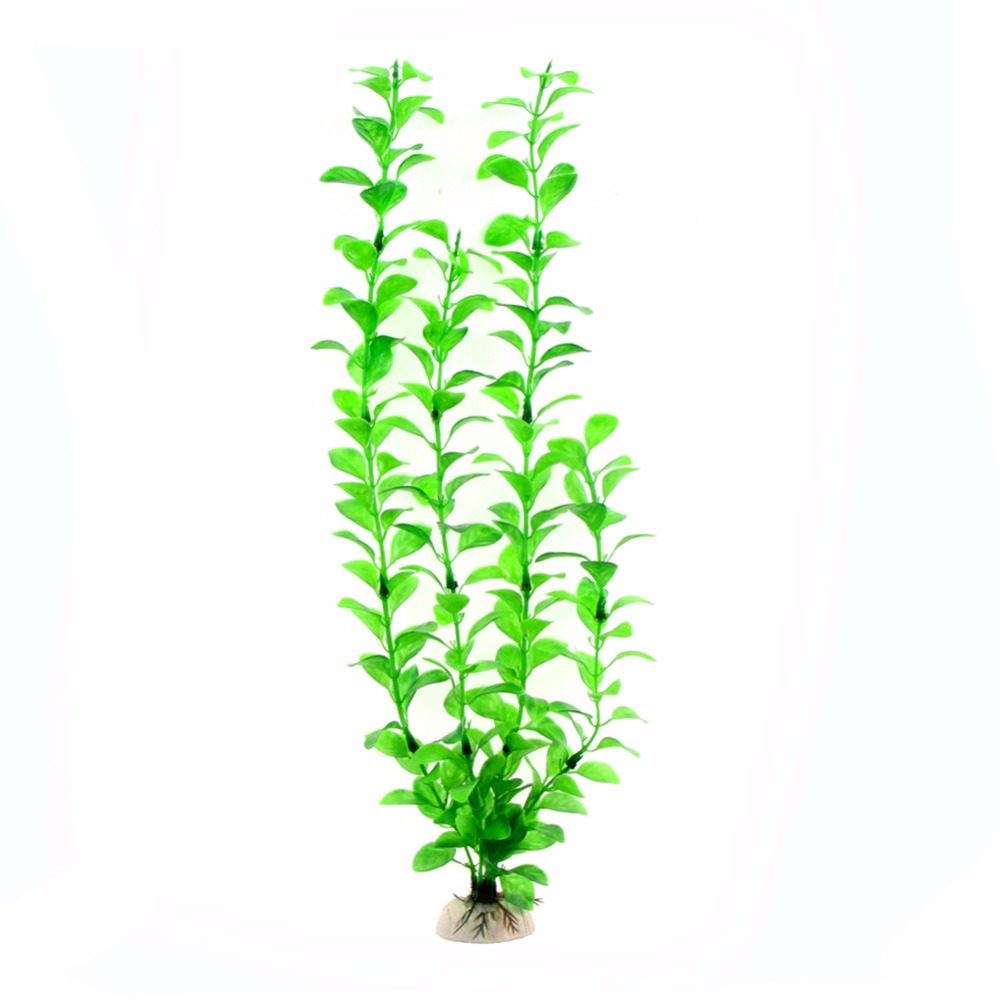 Ozdoba Akcesoria do akwarium s – Aquarium Plant Live recenzja i cena