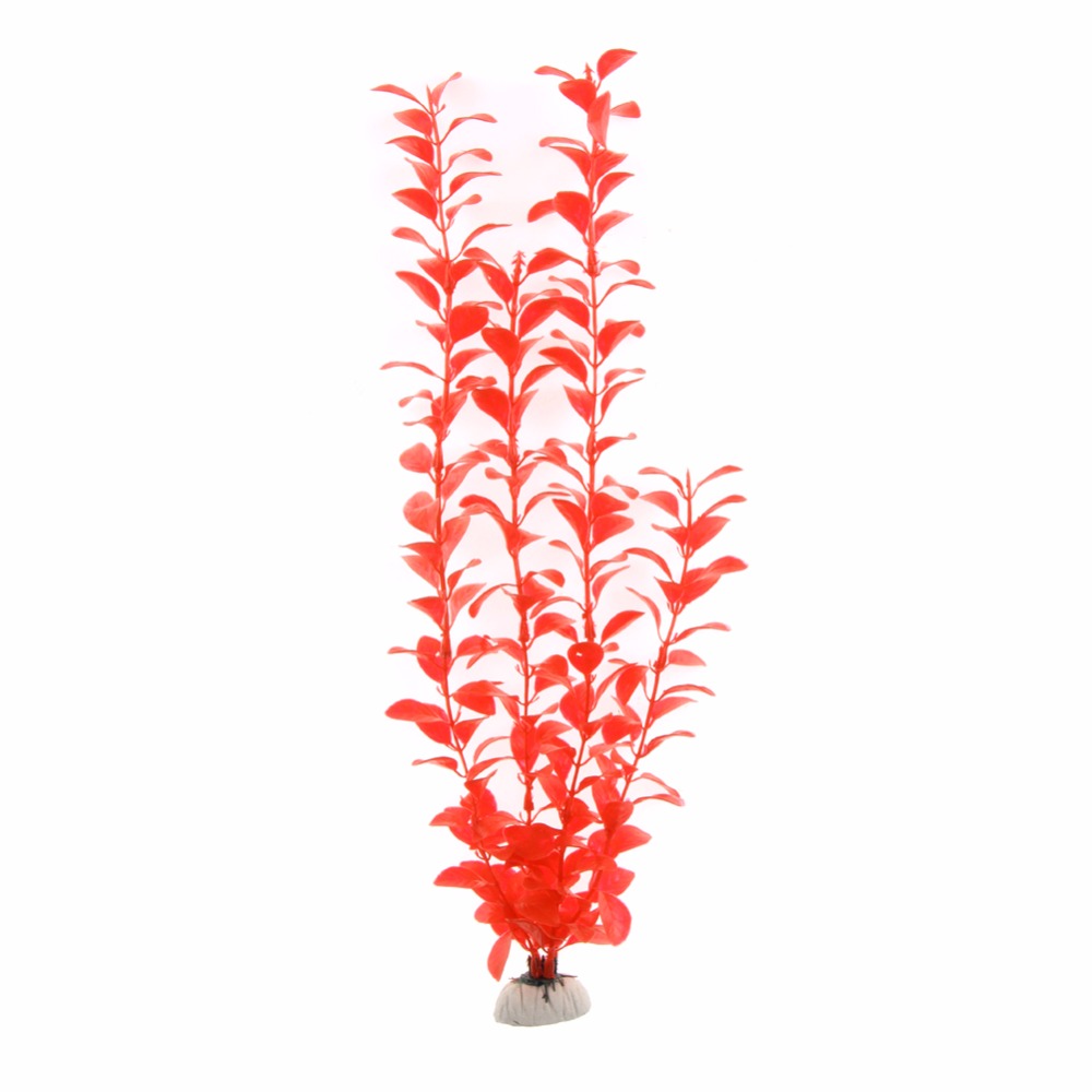 Ozdoba Akcesoria do akwarium s – Aquarium Plant Live recenzja i cena