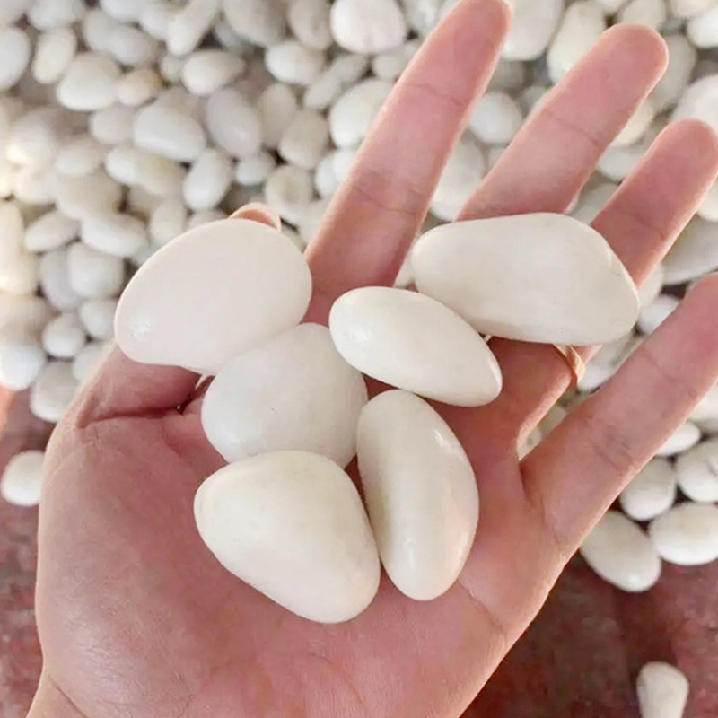 Naturalne Białe Polerowane Kam – Aquarium Sand White recenzja i cena