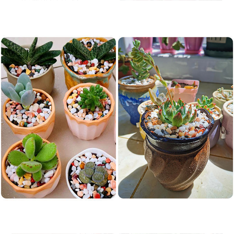Naturalny żwir kamieniany 200~ – Aquarium Plant Gravel recenzja i cena