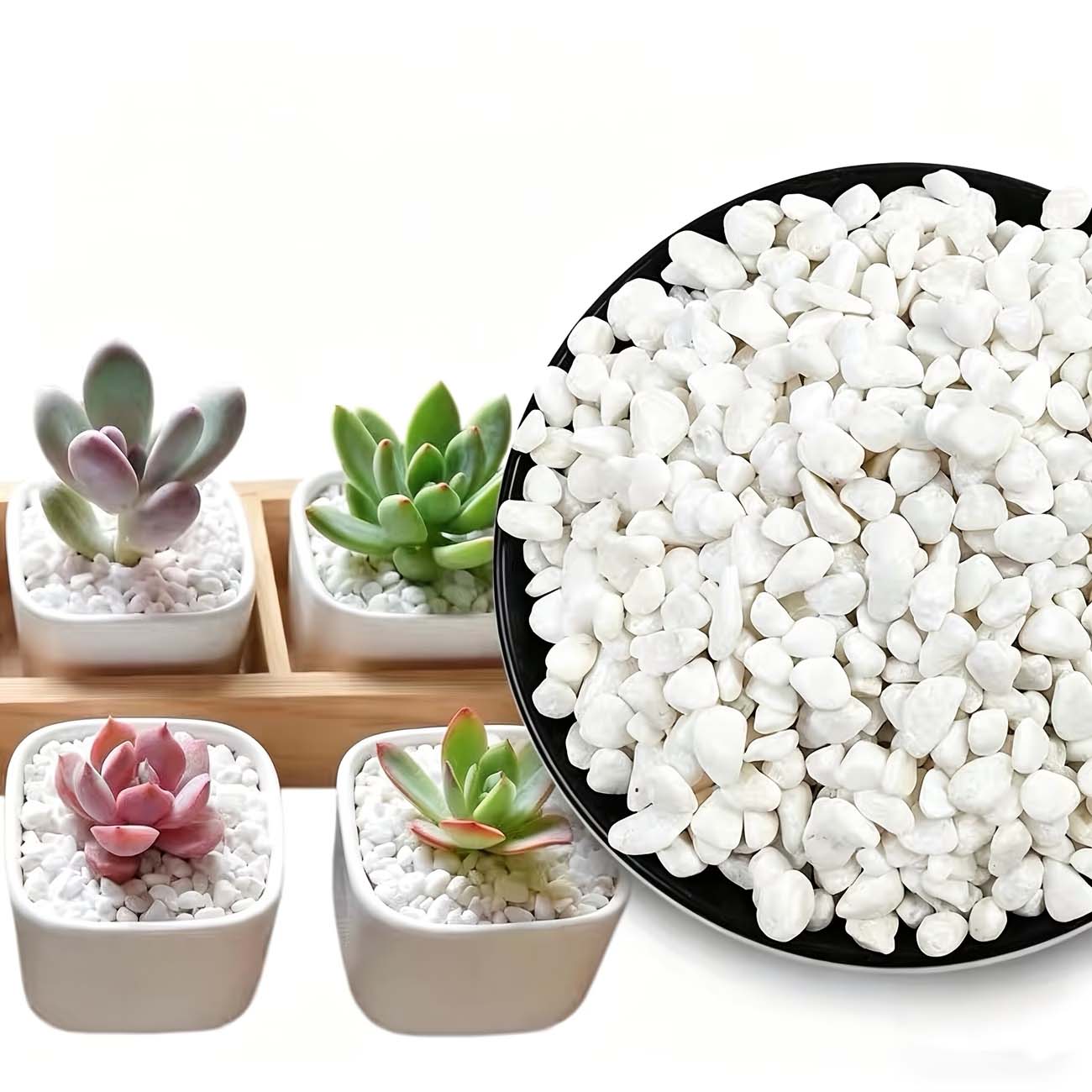 100/200G Białe Kamienie Dekora – Aquarium Sand White recenzja i cena