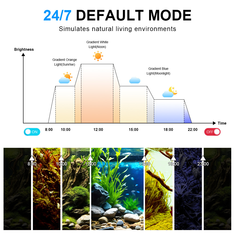 Lampa LED do akwarium 24/7 z c – Planted Aquarium Cycling recenzja i cena