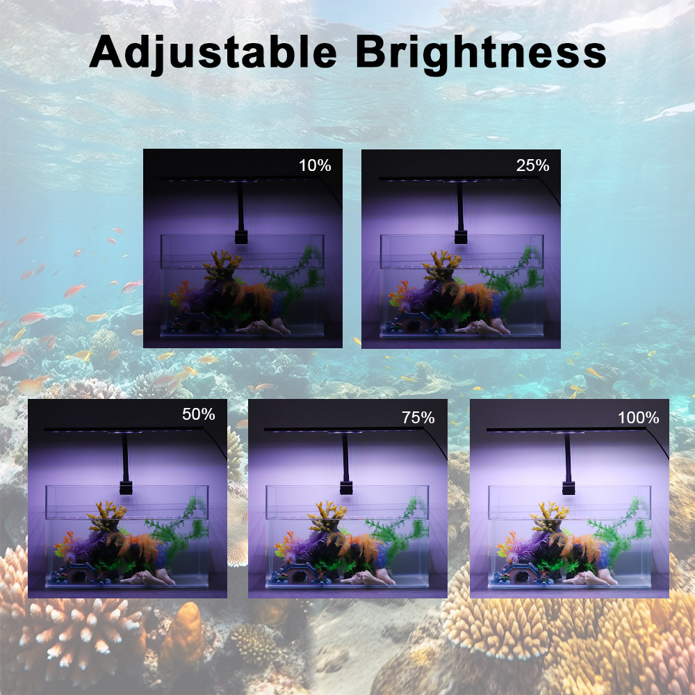 Lampa LED do akwarium 24/7 z c – Planted Aquarium Cycling recenzja i cena