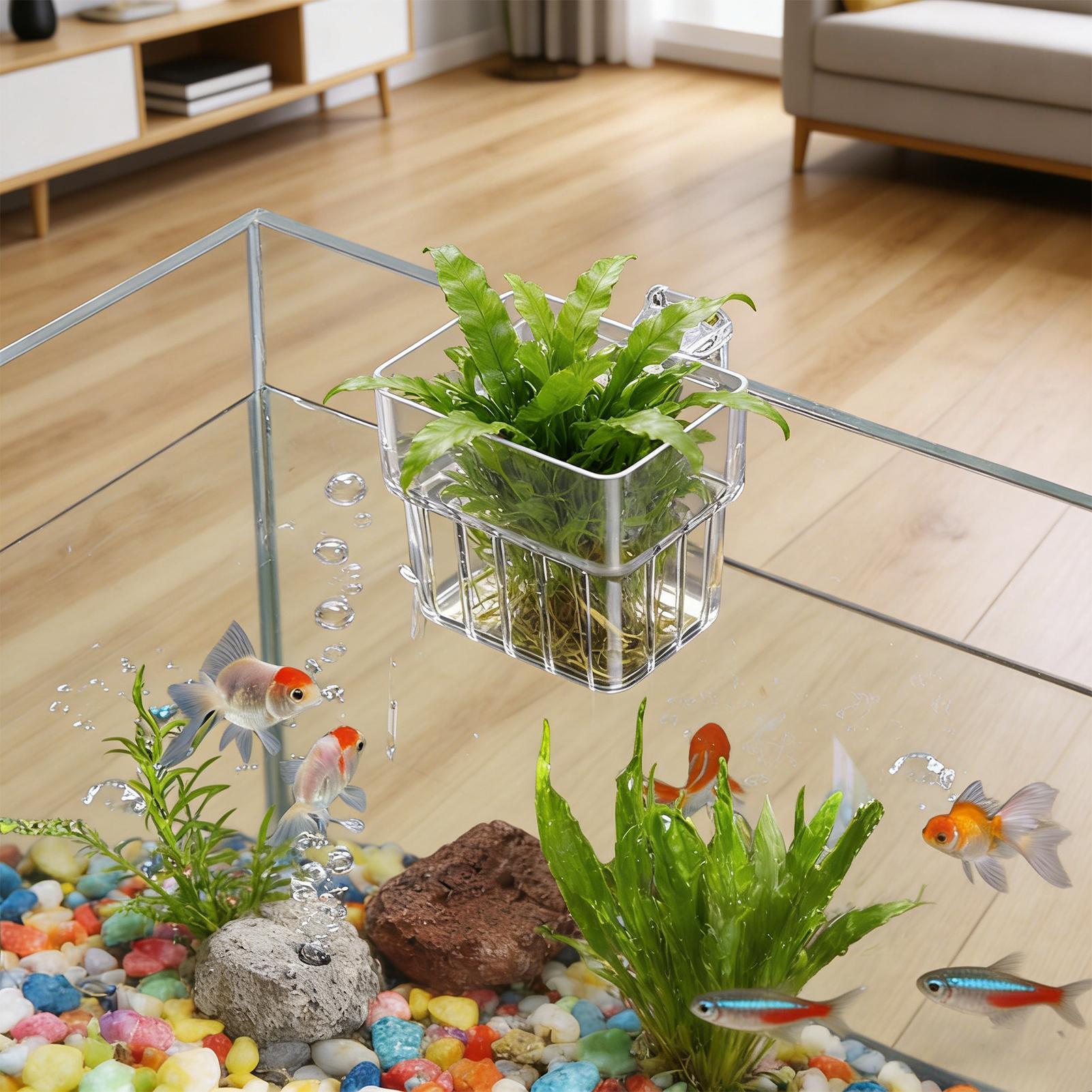 Przezroczysty wiszący kwietnik – Aquarium Plant Live recenzja i cena