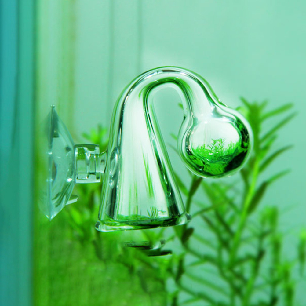 Akwarium CO2 Dyfuzyjny szklany – Planted Aquarium Co2 recenzja i cena