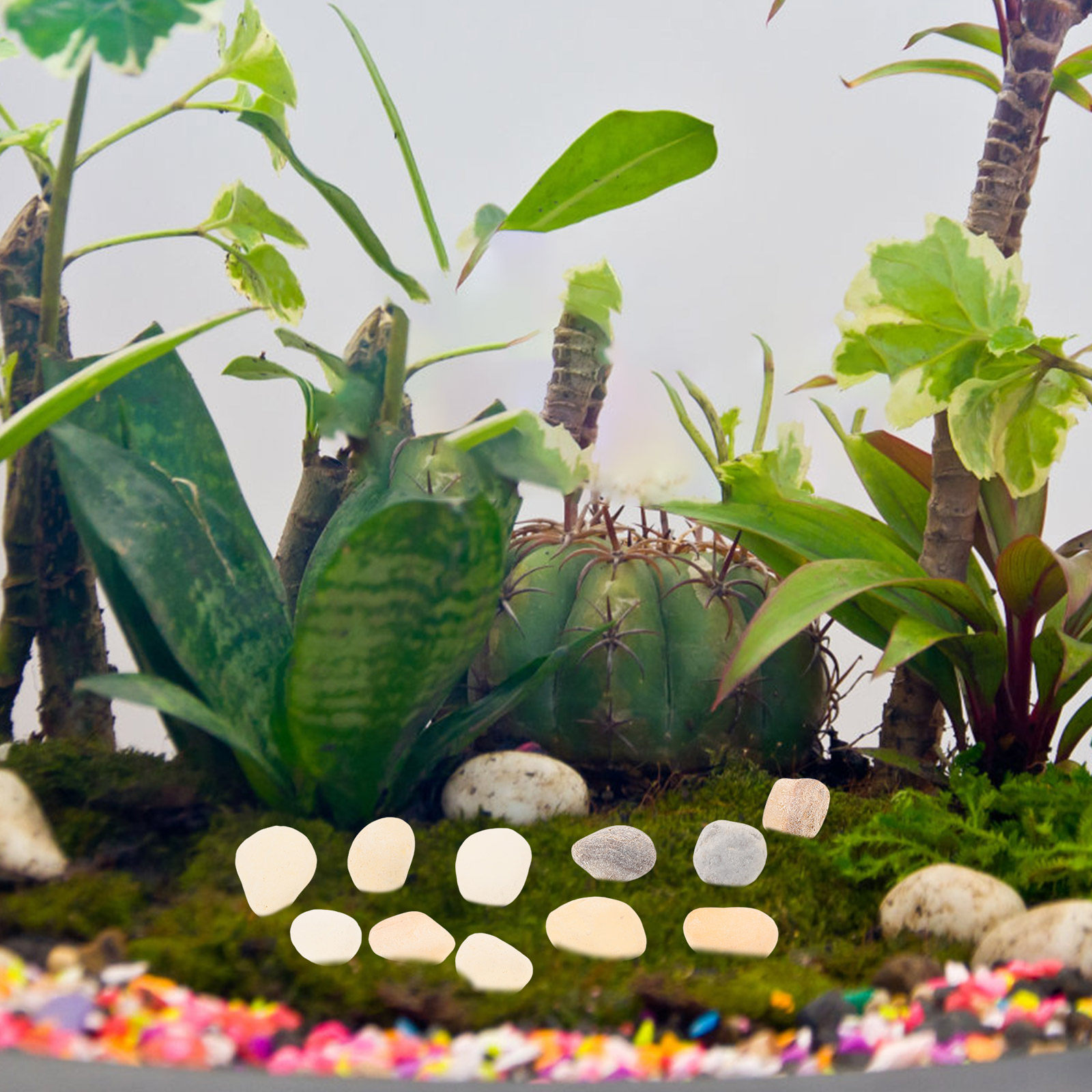 Naturalne kamienie dekoracyjne – Aquarium Plant Gravel recenzja i cena