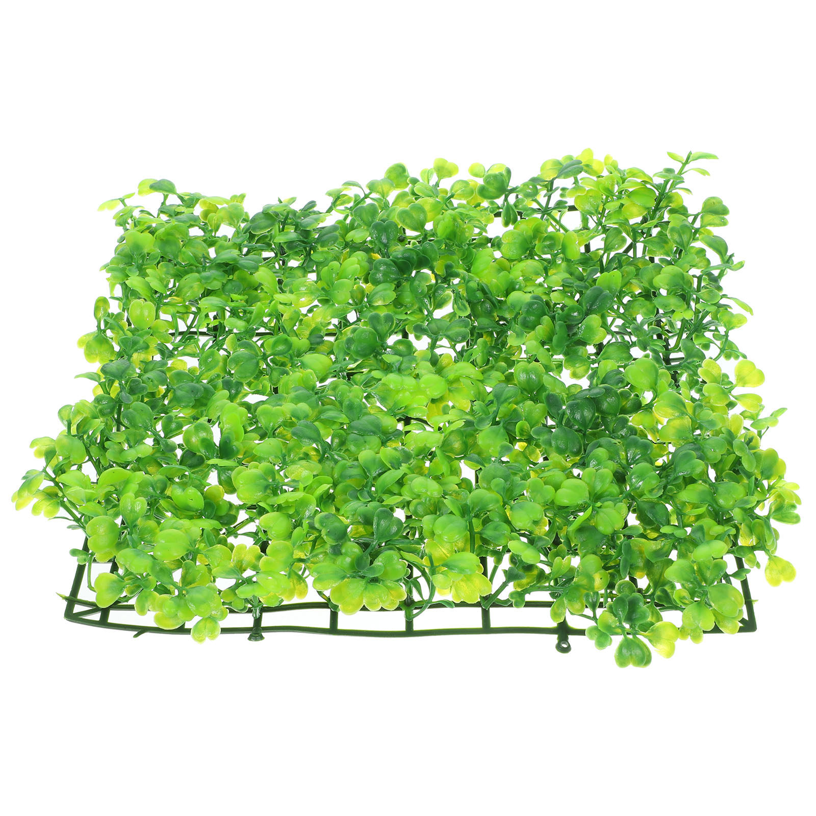 Sztuczna trawa do akwarium, re – Planted Aquarium Freshwater recenzja i cena