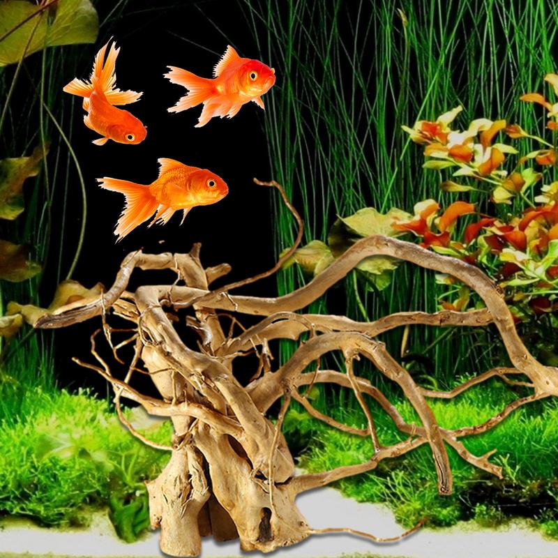 Akwarium Driftwood Dekoracja P – Aquarium Plant Glue recenzja i cena