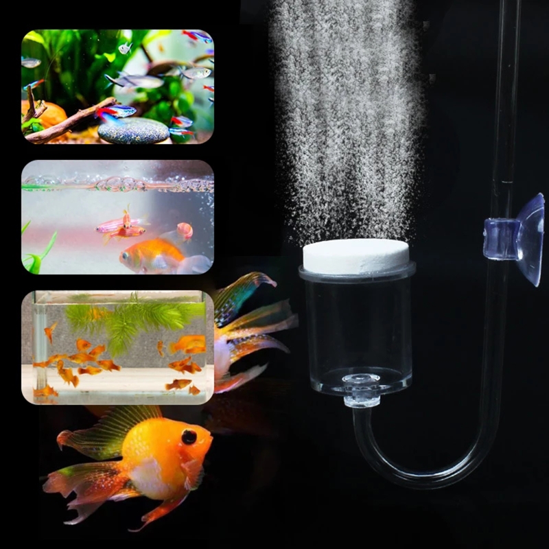 4szt Zestaw DIY Dyfuzor CO2 do – Aquarium Plant Live recenzja i cena