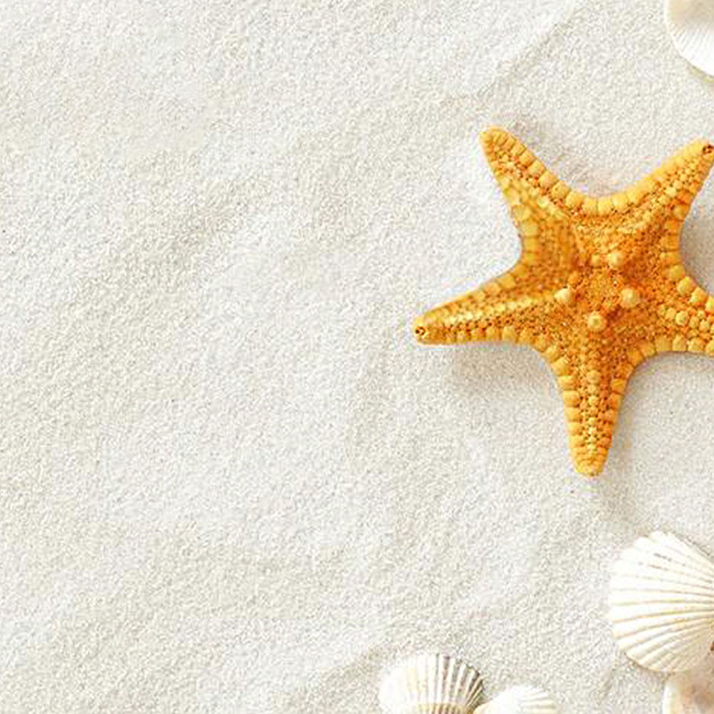 5 opakowań 80 g białego piasku – Aquarium Sand White recenzja i cena